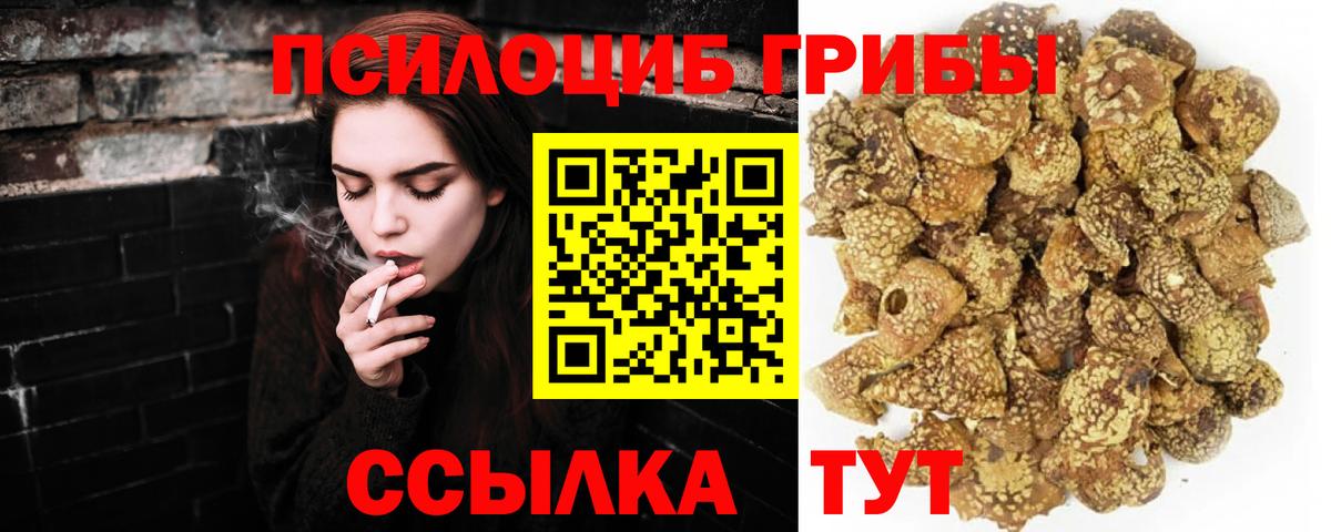 Галлюциногенные грибы Magic Shrooms Новороссийск